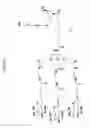 Fig. 03 - Compounds and methods for enhanced cellular uptake