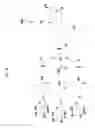 Fig. 04 - Compounds and methods for enhanced cellular uptake