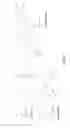 Fig. 19 - feruloyl-CoA:monolignol transferase