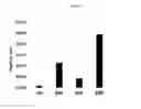 Fig. 03 - Expression of Butyrylcholinesterase in plants