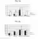 Fig. 04 - EUKARYOTIC EXPRESSION VECTORS RESISTANT TO TRANSGENE SILENCING
