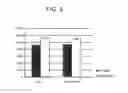 Fig. 06 - EUKARYOTIC EXPRESSION VECTORS RESISTANT TO TRANSGENE SILENCING