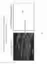 Fig. 06 - AAV vectors for retinal and CNS gene therapy