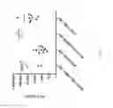 Fig. 07 - AAV vectors for retinal and CNS gene therapy