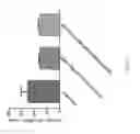 Fig. 12 - AAV vectors for retinal and CNS gene therapy