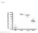 Fig. 11 - Lentiviral vectors