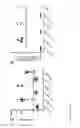 Fig. 19 - Lentiviral vectors