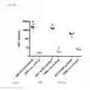 Fig. 31 - Lentiviral vectors