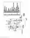 Fig. 03 - Microorganisms for biosynthesis of limonene on gaseous substrates