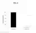 Fig. 07 - METHODS AND COMPOSITIONS FOR ENHANCED PRODUCTION OF FATTY ALDEHYDES AND FATTY ALCOHOLS