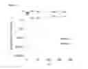 Fig. 19 - Selective advantage in fermentation