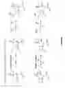 Fig. 09 - CELL-FREE PREPARATION OF CARBAPENEMS