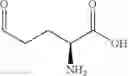 Fig. 104 - CELL-FREE PREPARATION OF CARBAPENEMS