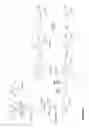 Fig. 16 - CELL-FREE PREPARATION OF CARBAPENEMS
