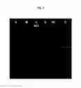 Fig. 03 - PCR primers and methods thereof for the identification of bacillus coagulans