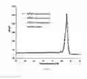 Fig. 06 - Isothermal nucleic acid amplification reactor with integrated solid state membrane