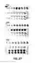 Fig. 30 - Microfluidic devices, systems and methods for sample preparation and analysis