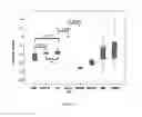 Fig. 07 - Methods for predicting response to HDACi/DNMTi combination in multiple myeloma