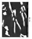 Fig. 134 - Castable high-temperature Ce-modified Al alloys