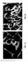 Fig. 30 - Castable high-temperature Ce-modified Al alloys