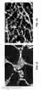 Fig. 31 - Castable high-temperature Ce-modified Al alloys