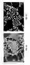 Fig. 47 - Castable high-temperature Ce-modified Al alloys