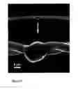 Fig. 07 - Fabrication and application of nanofiber ribbons and sheets and twisted and non-twisted nanofiber yarns