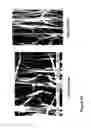 Fig. 104 - Fabrication and application of nanofiber ribbons and sheets and twisted and non-twisted nanofiber yarns