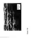 Fig. 108 - Fabrication and application of nanofiber ribbons and sheets and twisted and non-twisted nanofiber yarns