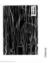 Fig. 29 - Fabrication and application of nanofiber ribbons and sheets and twisted and non-twisted nanofiber yarns