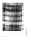 Fig. 40 - Fabrication and application of nanofiber ribbons and sheets and twisted and non-twisted nanofiber yarns
