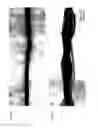 Fig. 41 - Fabrication and application of nanofiber ribbons and sheets and twisted and non-twisted nanofiber yarns