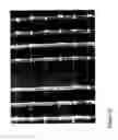 Fig. 43 - Fabrication and application of nanofiber ribbons and sheets and twisted and non-twisted nanofiber yarns