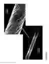 Fig. 58 - Fabrication and application of nanofiber ribbons and sheets and twisted and non-twisted nanofiber yarns