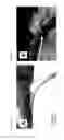 Fig. 79 - Fabrication and application of nanofiber ribbons and sheets and twisted and non-twisted nanofiber yarns