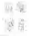 Fig. 26 - Method for controlling rinsing cycle of washing machine