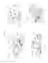 Fig. 26 - Washing machine
