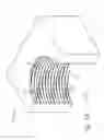 Fig. 04 - Slip insert with interrupted thread profile