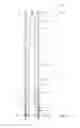 Fig. 07 - Downhole flow device