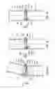 Fig. 08 - DEVICE FOR CONNECTING THE STRUCTURAL ELEMENTS OF RIBS AND RETICULAR STRUCTURES