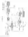 Fig. 15 - Exhaust purification system of internal combustion engine