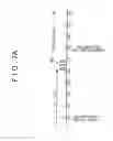 Fig. 10 - Fuel injection control device for internal combustion engine