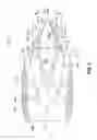 Fig. 03 - Sandwich structure having hinge assemblies for accommodating differential in-plane expansion of face sheets