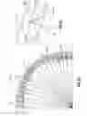 Fig. 25 - Sandwich structure having hinge assemblies for accommodating differential in-plane expansion of face sheets
