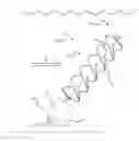 Fig. 01 - Hydrokinetic energy conversion system and use thereof