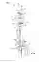 Fig. 04 - Tube pump