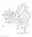 Fig. 02 - Low-cavitation impeller and pump