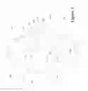 Fig. 04 - Profiled adjustment nut
