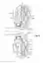 Fig. 06 - Hydrokinetic torque coupling device for a motor vehicle
