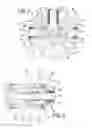 Fig. 08 - Monoflange valve